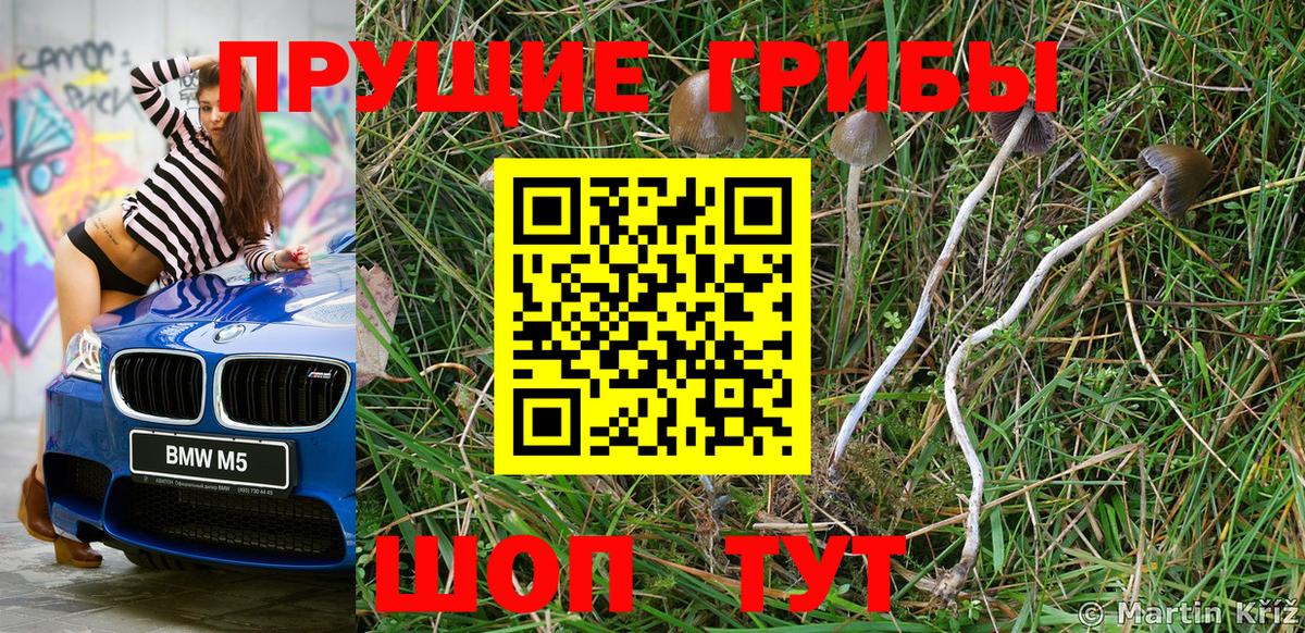 Псилоцибиновые грибы ЛСД  купить наркотик  Спасск-Дальний  Галлюциногенные грибы прущие грибы  Вход с VPN 